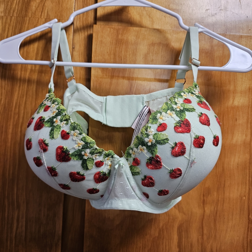 Victoria's Secret Mint Bra with Red Strawberry Embroidery